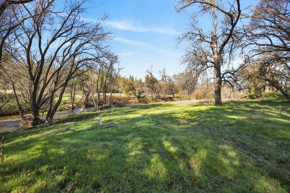 3150 Bridgeport School Road Fiddletown, CA 95629 - Photo 31 of 48 a view of a park with large trees