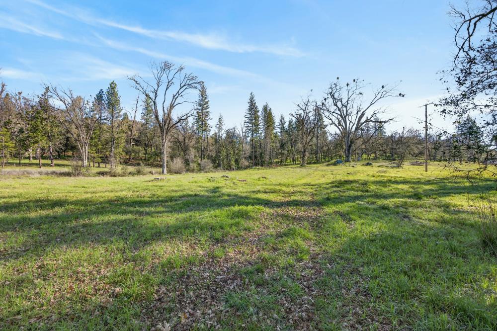 3150 Bridgeport School Road Fiddletown, CA 95629 - Photo 32 of 48 a big yard with trees in the background
