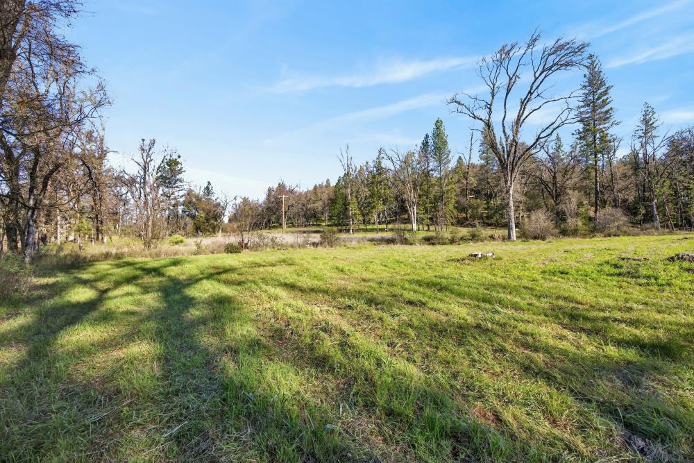 3150 Bridgeport School Road Fiddletown, CA 95629 - Photo 33 of 48 a large field with lots of trees in the background