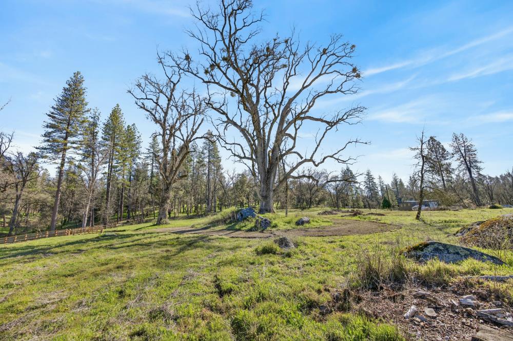 3150 Bridgeport School Road Fiddletown, CA 95629 - Photo 34 of 48 a backyard of field with trees