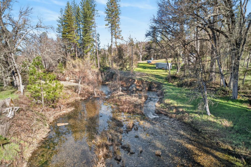 3150 Bridgeport School Road Fiddletown, CA 95629 - Photo 40 of 48 a green field with lots of trees