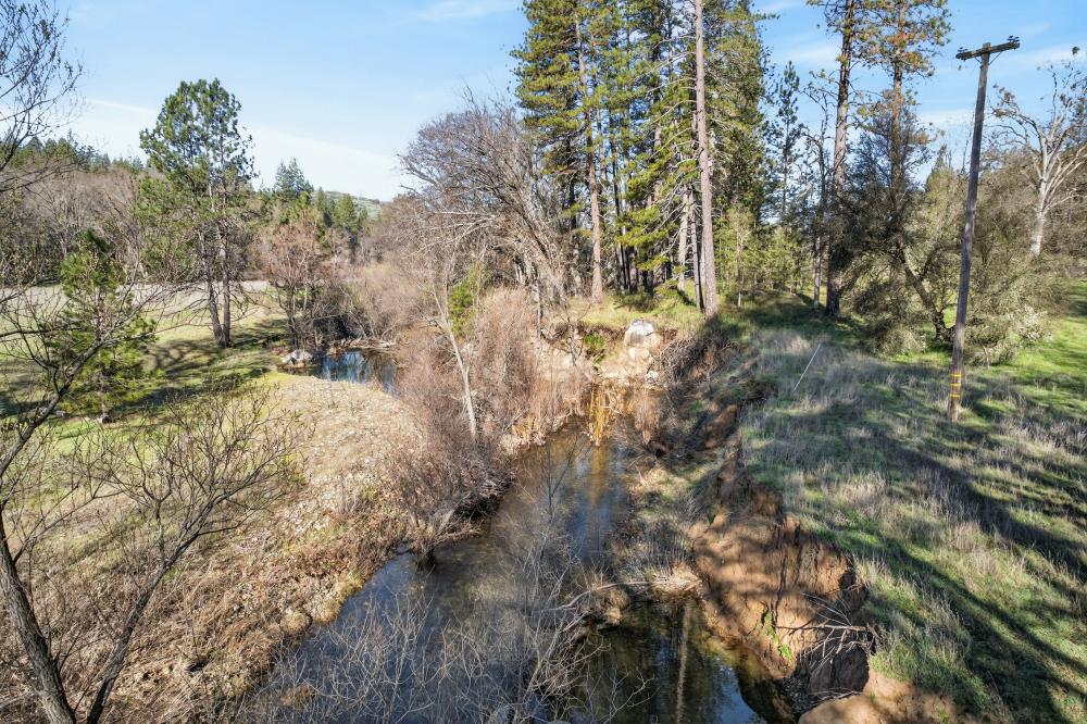 3150 Bridgeport School Road Fiddletown, CA 95629 - Photo 41 of 48 a view of a yard with a tree