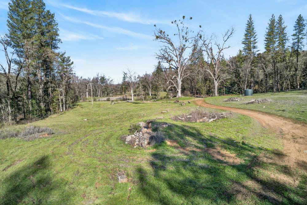 3150 Bridgeport School Road Fiddletown, CA 95629 - Photo 44 of 48 a backyard of a house with lots of green space