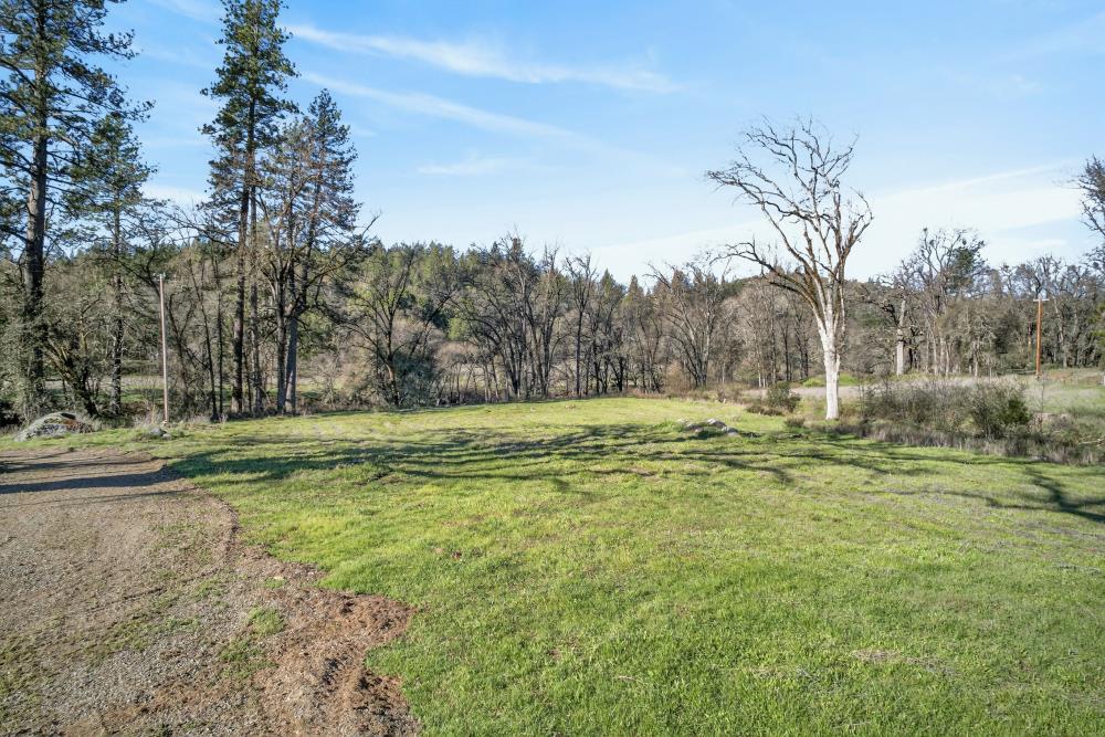 3150 Bridgeport School Road Fiddletown, CA 95629 - Photo 47 of 48 a view of outdoor space with trees all around