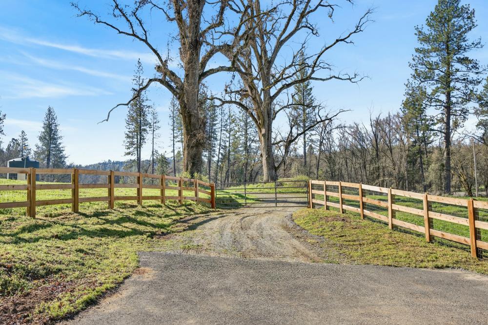 3150 Bridgeport School Road Fiddletown, CA 95629 - Photo 5 of 48 a view of a yard with swimming pool
