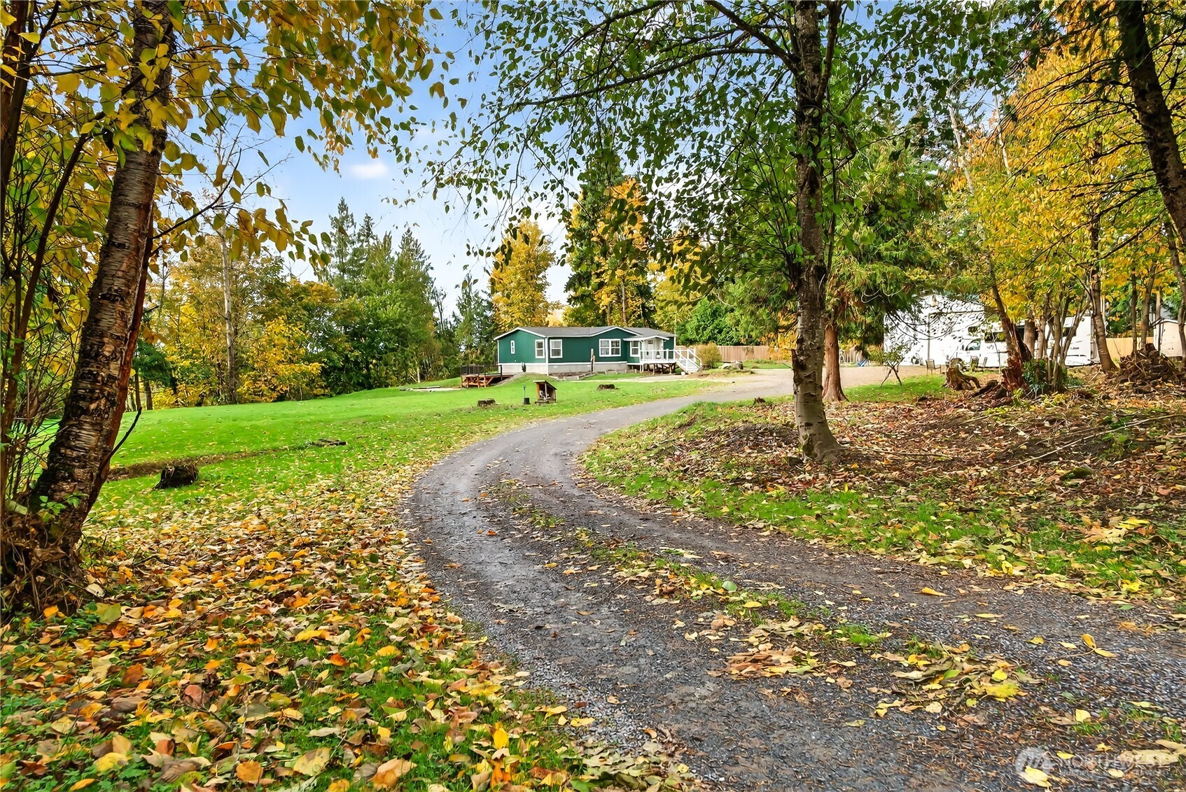 6583 Goodwin Road Everson, WA 98247 - Photo 36 of 40 a view of a yard with a tree