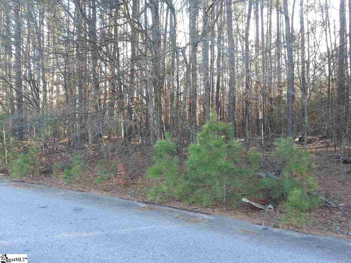 Isbell Lane Greenville, SC 29607 - Photo 3 of 5