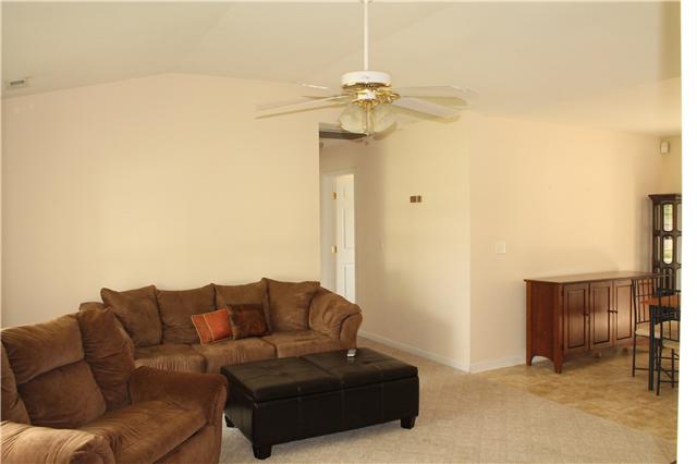 109 Ruben Road Spring Hill, TN 37174 - Photo 4 of 17 Vaulted ceiling living room
