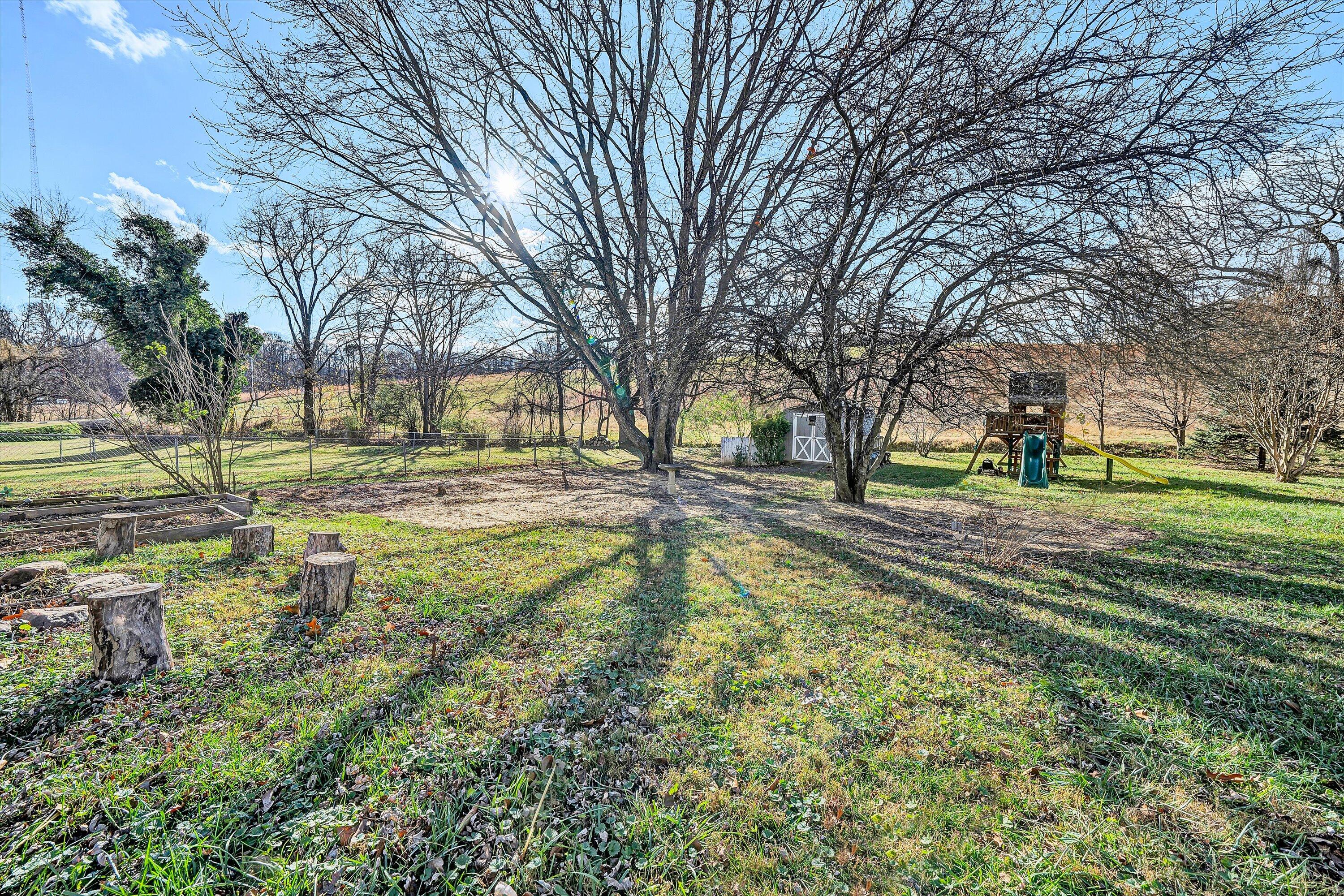 519 Doyle Street Salem, VA 24153 - Photo 35 of 40 a view of yard with trees
