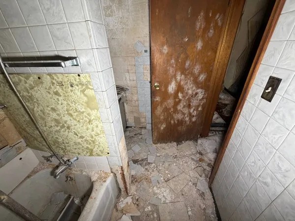 a view of a backyard of a house