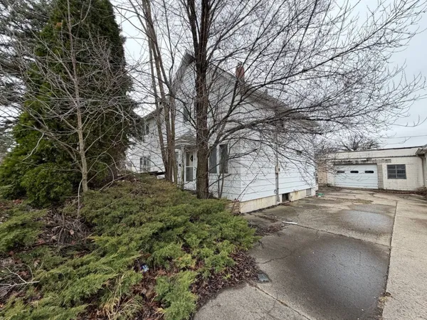 a view of a yard with large trees