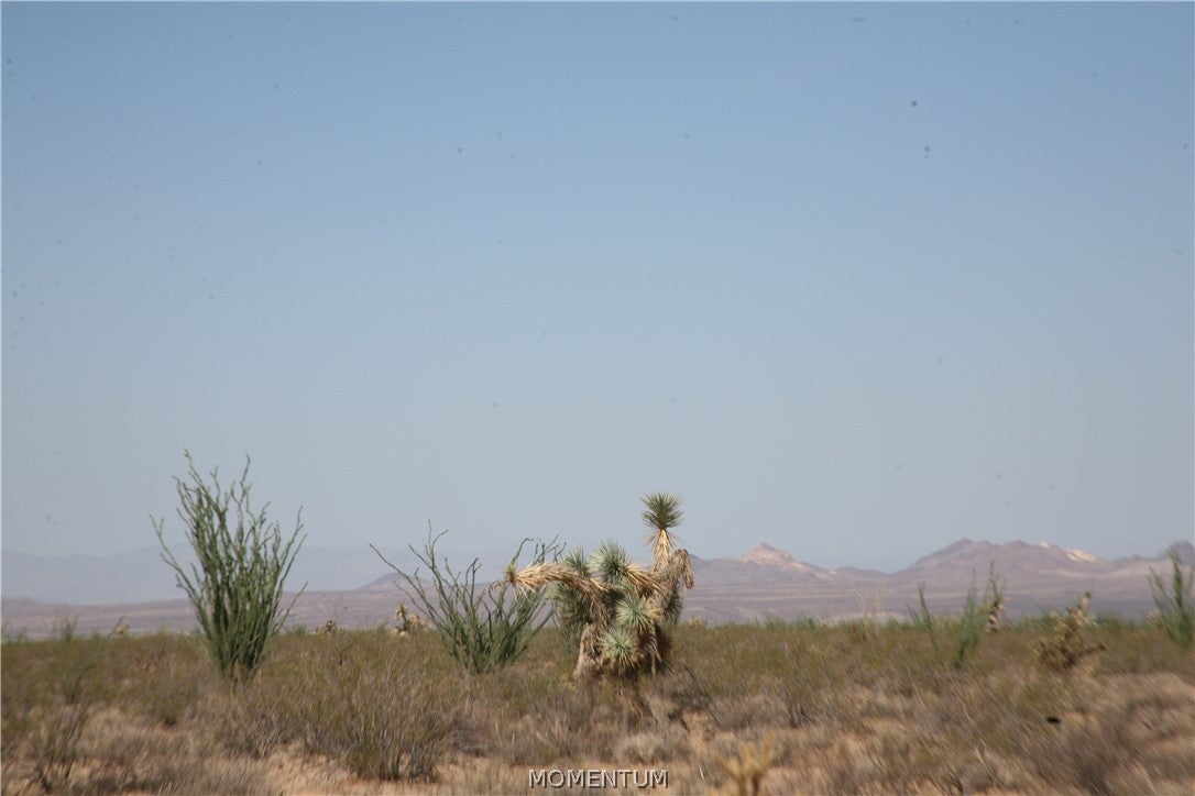 243-15-016 South Custer Road, Unit 3491 Yucca, AZ 86438 - Photo 12 of 61 Gallery Image 12