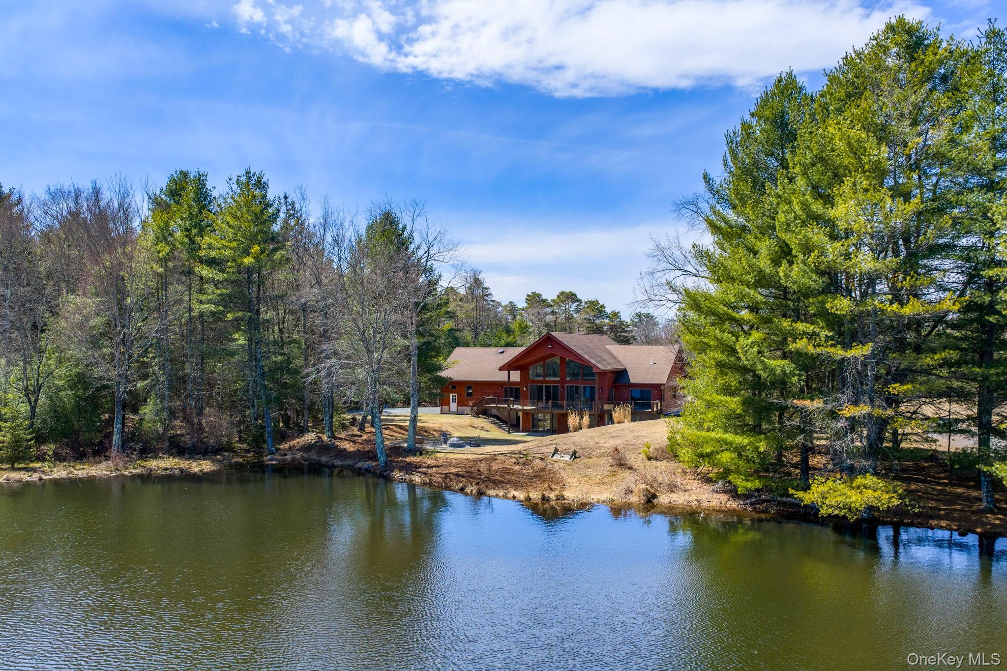 58 Deer Meadow Road Bethel, NY 12786 - Photo 3 of 36
