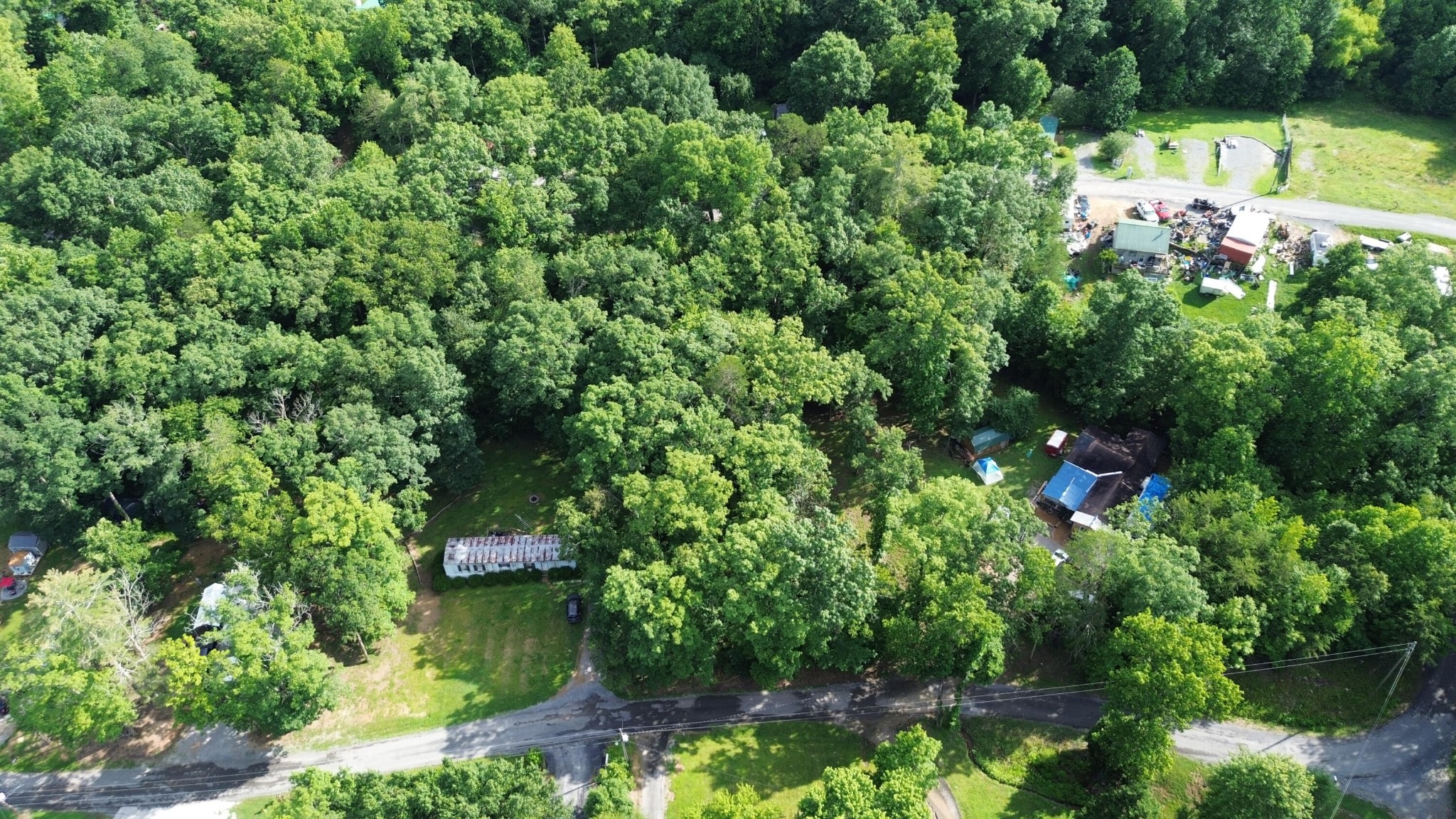 137 Randall Fugate Road Spring City, TN 37381 - Photo 4 of 6 a view of a garden with a house