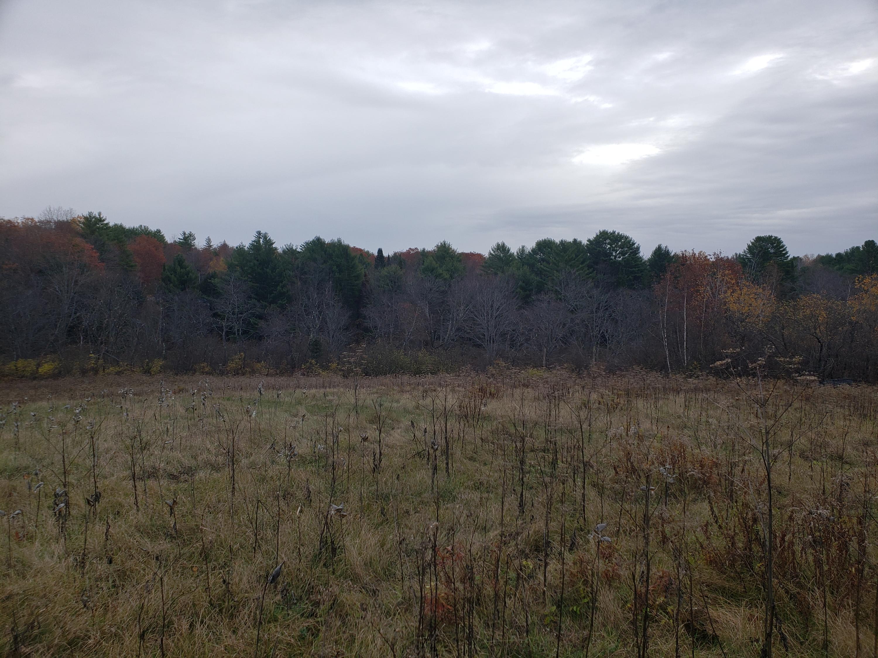 95 Zions Hill Road Chesterville, ME 04938 - Photo 6 of 6 20201026_080301
