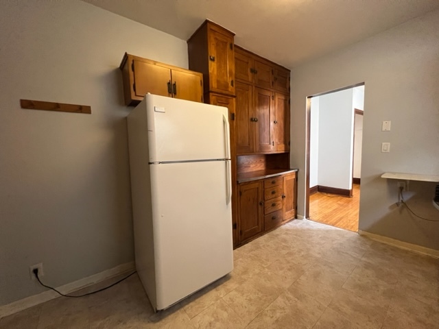 532 South Street Elgin, IL 60123 - Photo 3 of 43