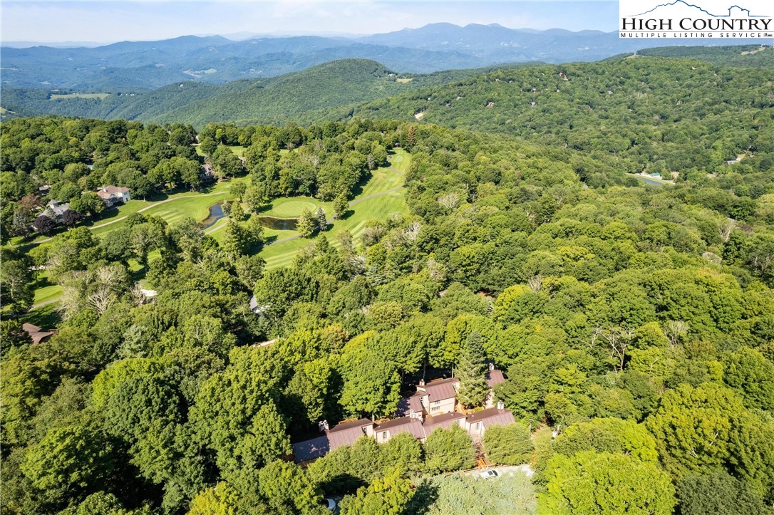 108 Northridge Road, Unit 3A Beech Mountain, NC 28604 - Photo 22 of 23 a view of a lush green field with mountains in the background