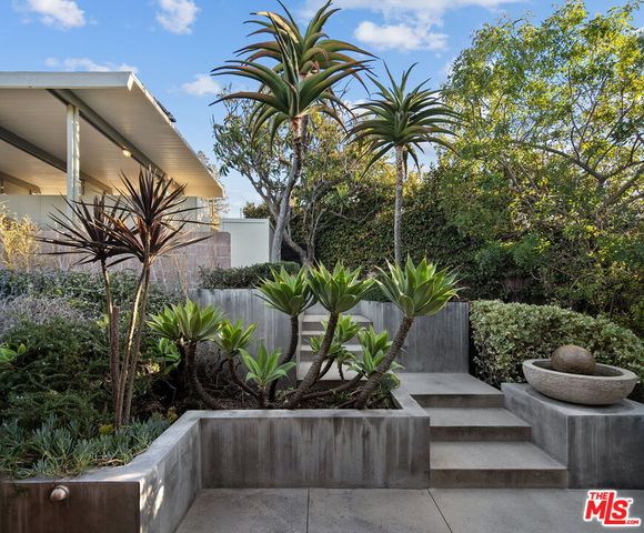 a view of a backyard with plants and palm tree
