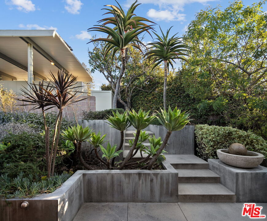 12412 Deerbrook Lane Los Angeles, CA 90049 - Photo 4 of 30 a view of a backyard with plants and palm tree