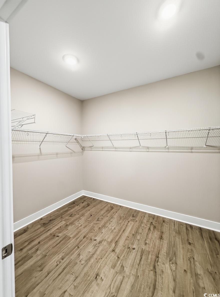 2108 Ballast Court Myrtle Beach, SC 29579 - Photo 22 of 37 Walk in closet with light wood-style floors