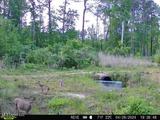 $499,000 | 3438 Cr-3027, Kosciusko, MS 39090