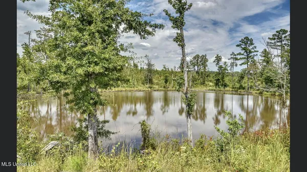 $499,000 | 3438 Cr-3027, Kosciusko, MS 39090