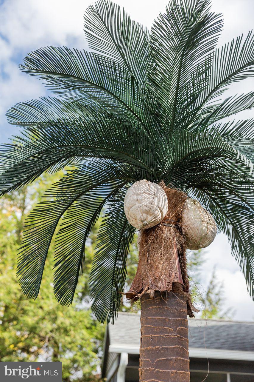 307 Harvest Drive Lititz, PA 17543 - Photo 79 of 120