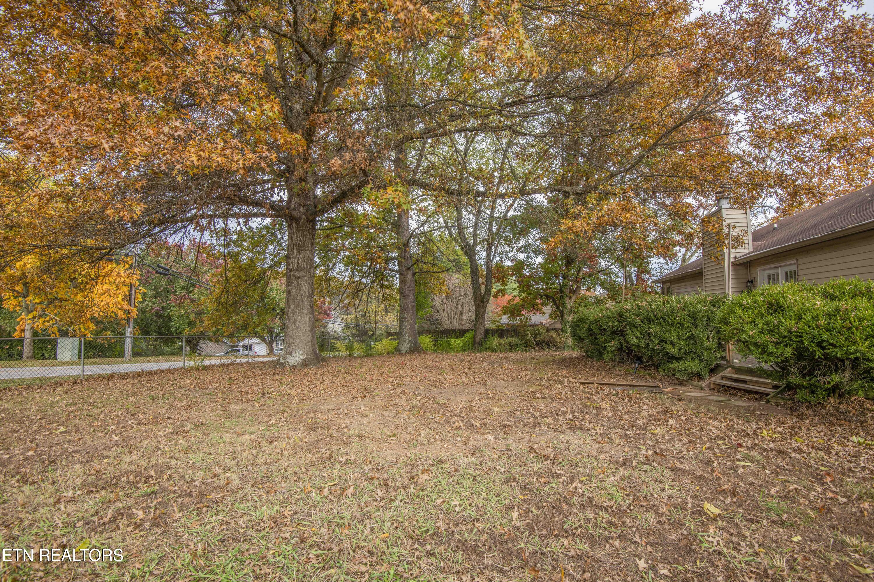 800 Smoke Creek Road Knoxville, TN 37934 - Photo 32 of 33 yard 3_1