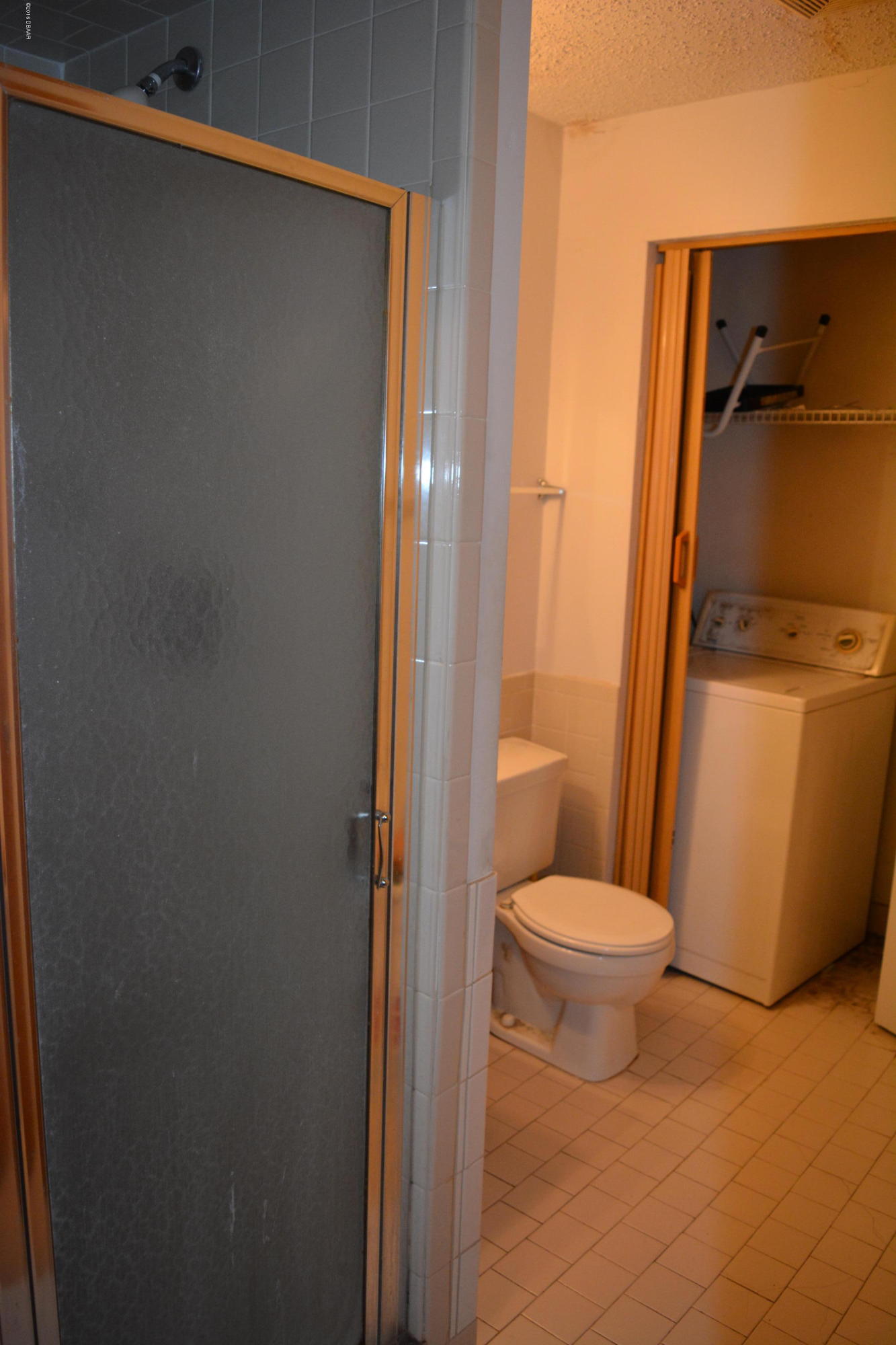 910 Big Tree Road, Unit 903 South Daytona, FL 32119 - Photo 6 of 17 DSC_0550