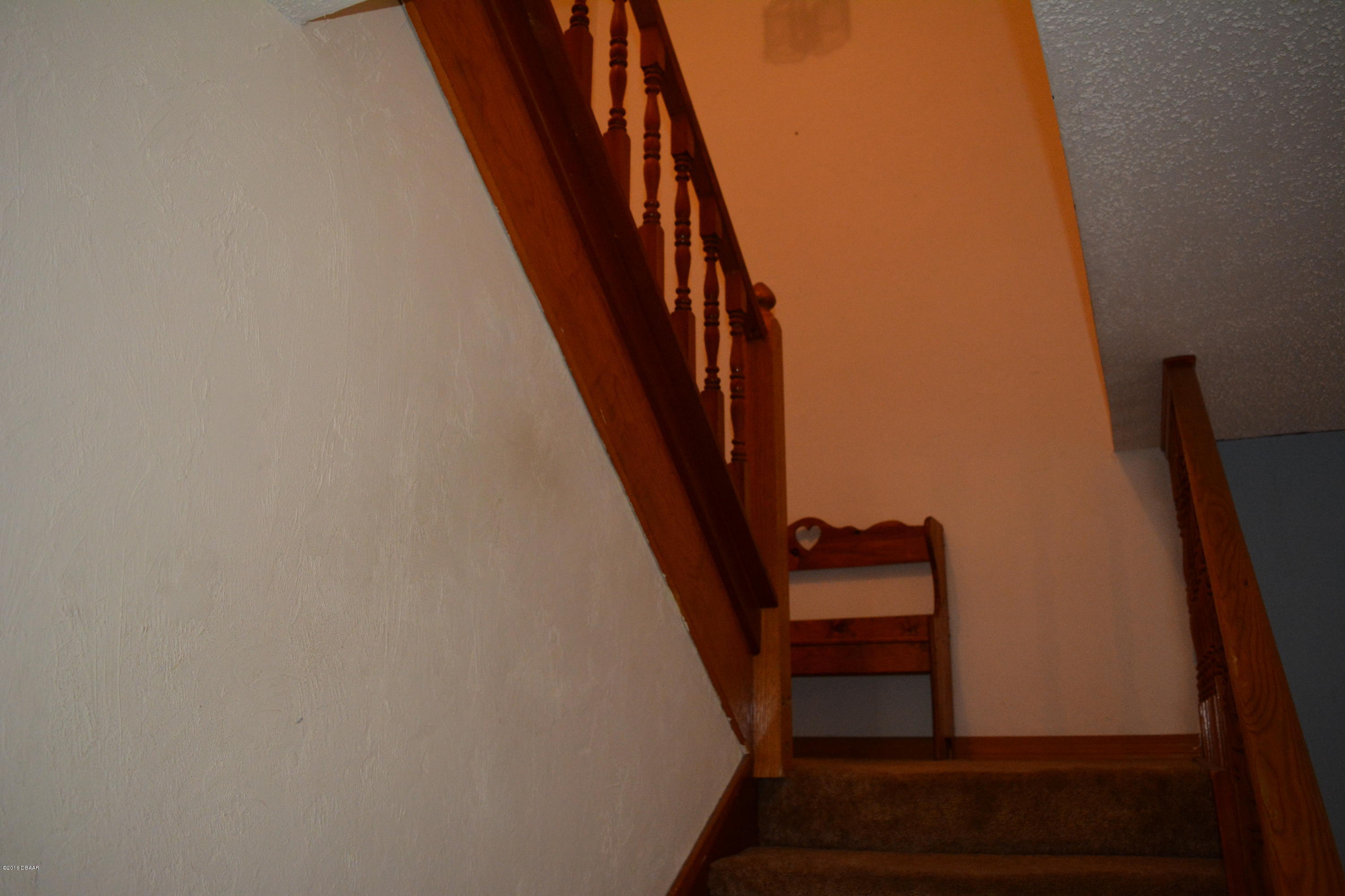 910 Big Tree Road, Unit 903 South Daytona, FL 32119 - Photo 8 of 17 DSC_0553