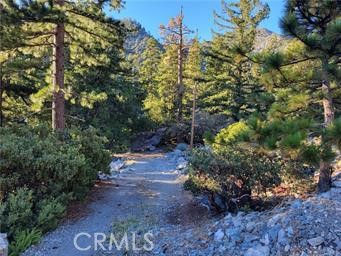3 Glacier Mount Baldy, CA 91759 - Photo 18 of 49 a view of a large yard with lots of green space