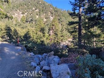 3 Glacier Mount Baldy, CA 91759 - Photo 21 of 49 a view of a yard with plants and trees