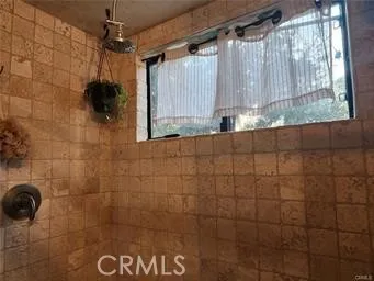 a bathroom with a shower and a window