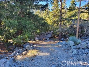3 Glacier Mount Baldy, CA 91759 - Photo 31 of 49 a view of a yard with plants and trees