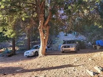 a view of dirt yard with a large tree