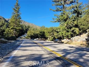 3 Glacier Mount Baldy, CA 91759 - Photo 39 of 49 a view of a yard with plants