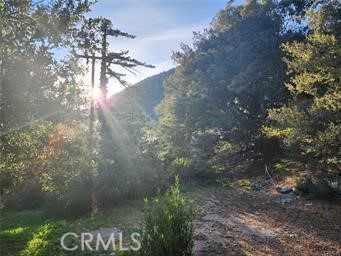 3 Glacier Mount Baldy, CA 91759 - Photo 7 of 49 a view of a yard