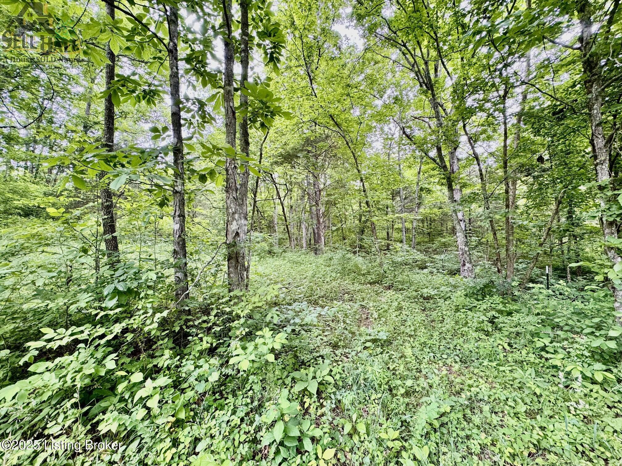 Tr3 Polin Road Willisburg, KY 40078 - Photo 6 of 14 IMG_2874
