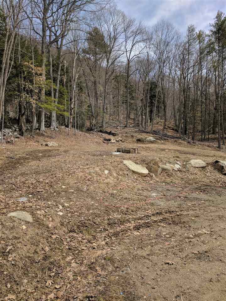 566 Bog Road Campton, NH 03223 - Photo 3 of 9