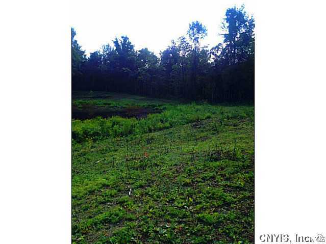 - Houghtaling Road Cato, NY 13033 - Photo 2 of 5