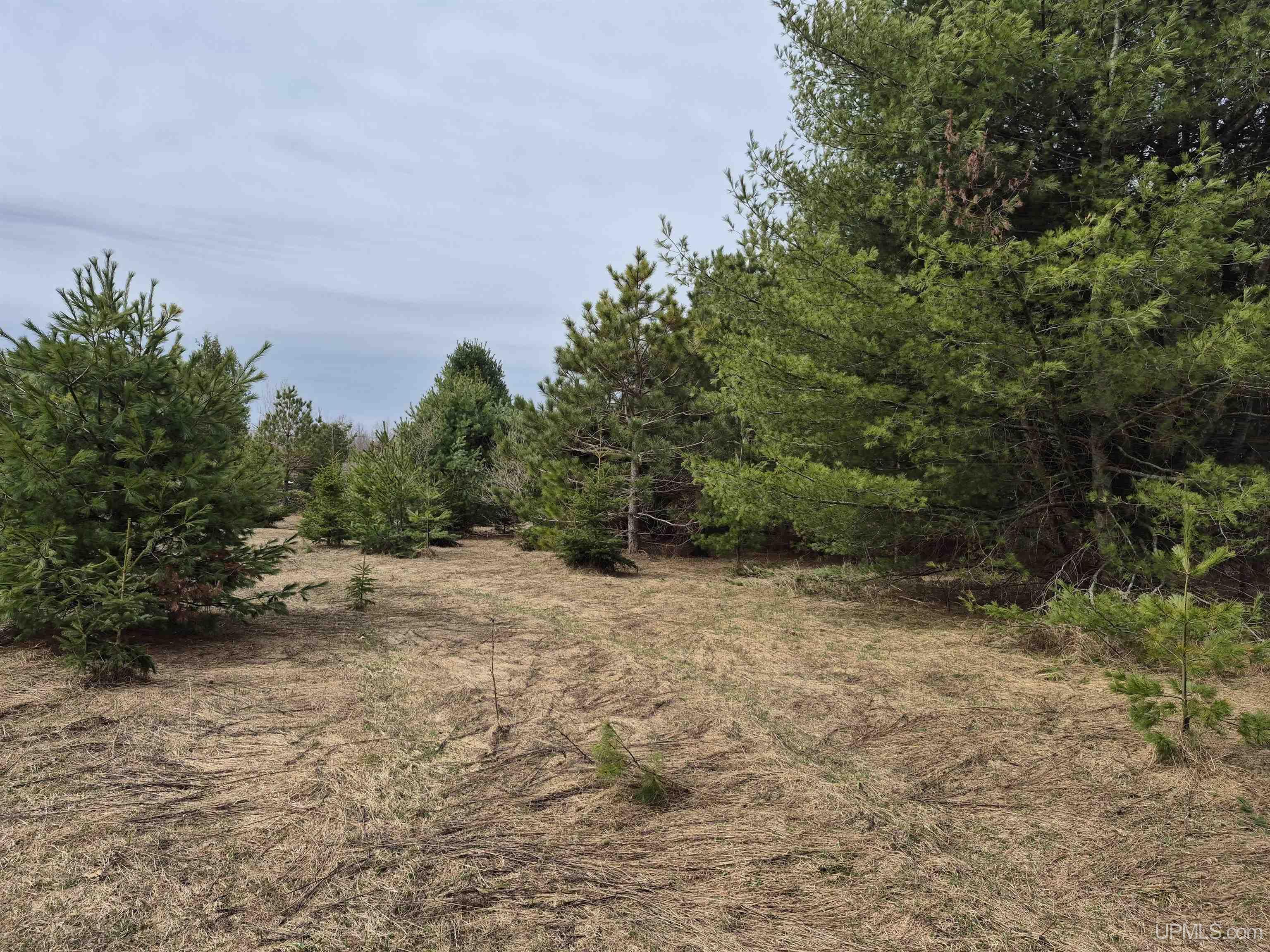 3754 Quarry Road Gulliver, MI 49840 - Photo 56 of 77