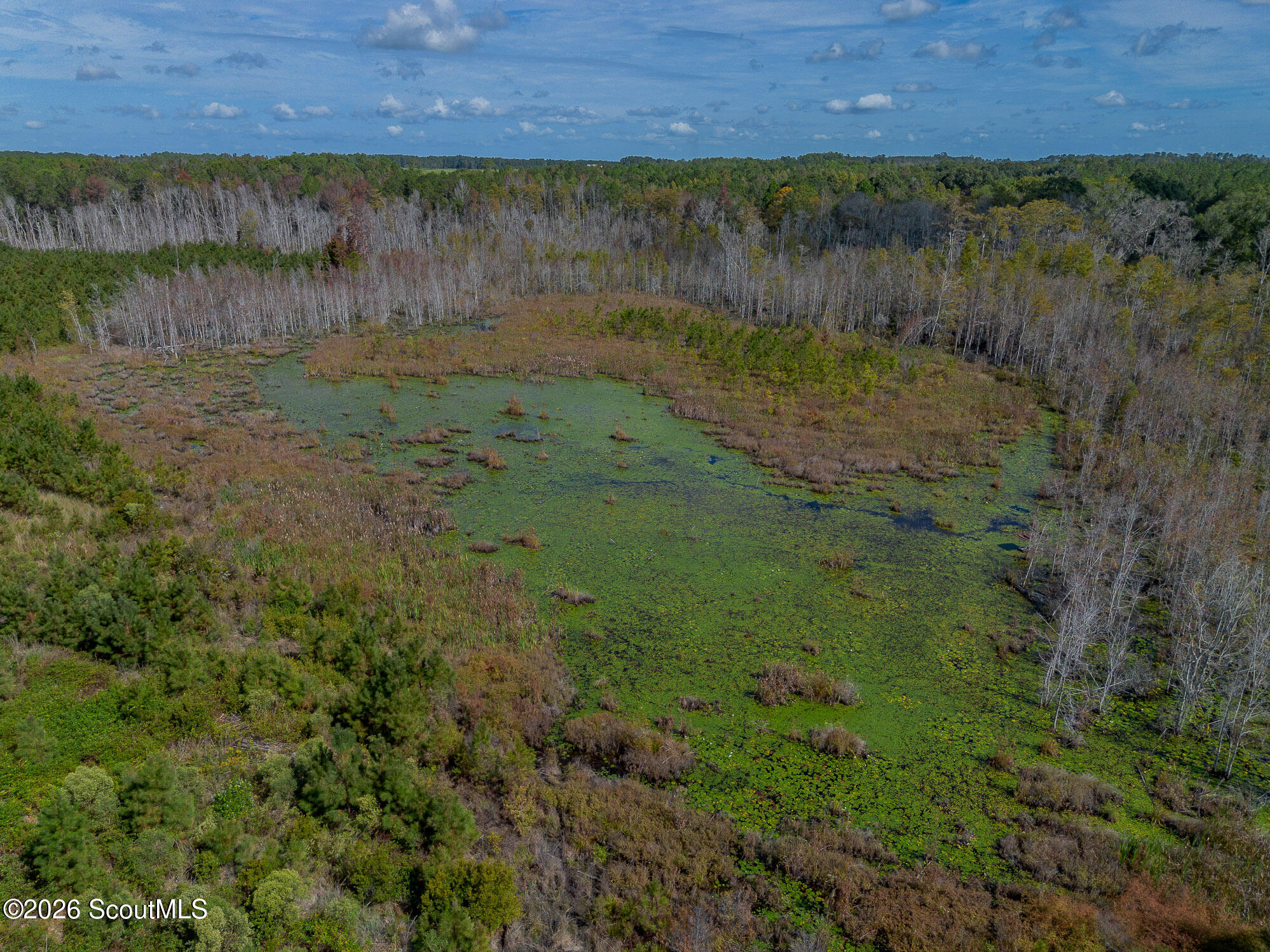 1 Kinnett Road Milan, GA 31060 - Photo 7 of 8