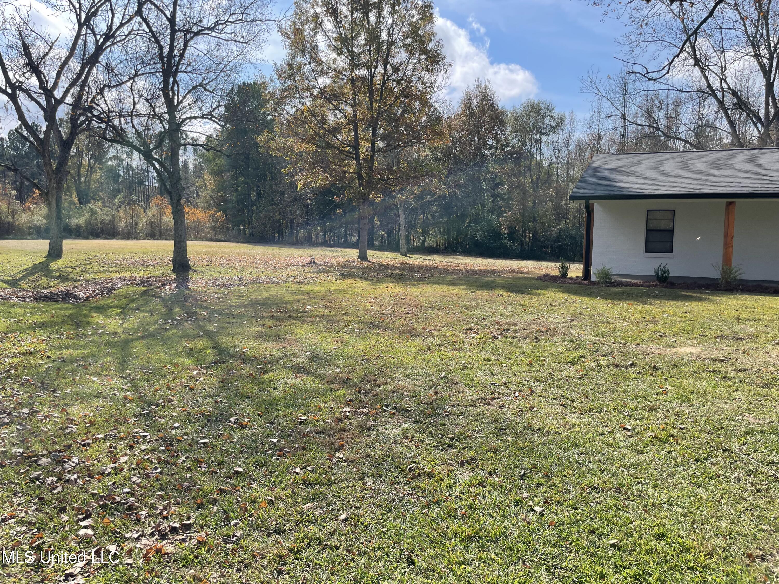 125 Churchill Place Byram, MS 39272 - Photo 15 of 17 IMG_1152 (1)