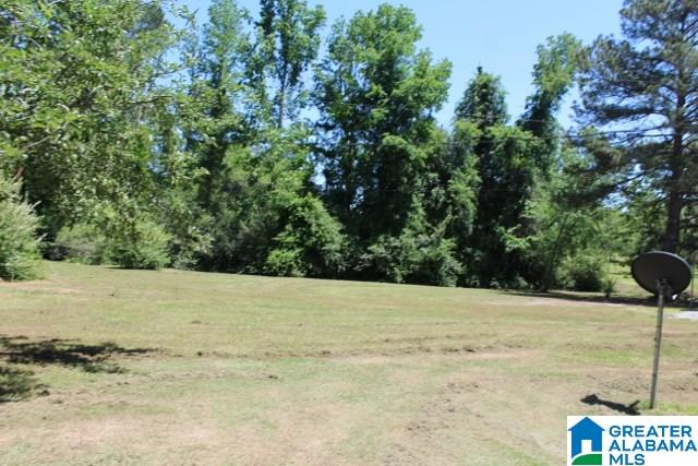 2363 Florida Road Pell City, AL 35125 - Photo 6 of 19