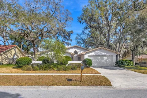 $400,000 | 1011 Meadowcrest Drive, Valrico, FL 33594