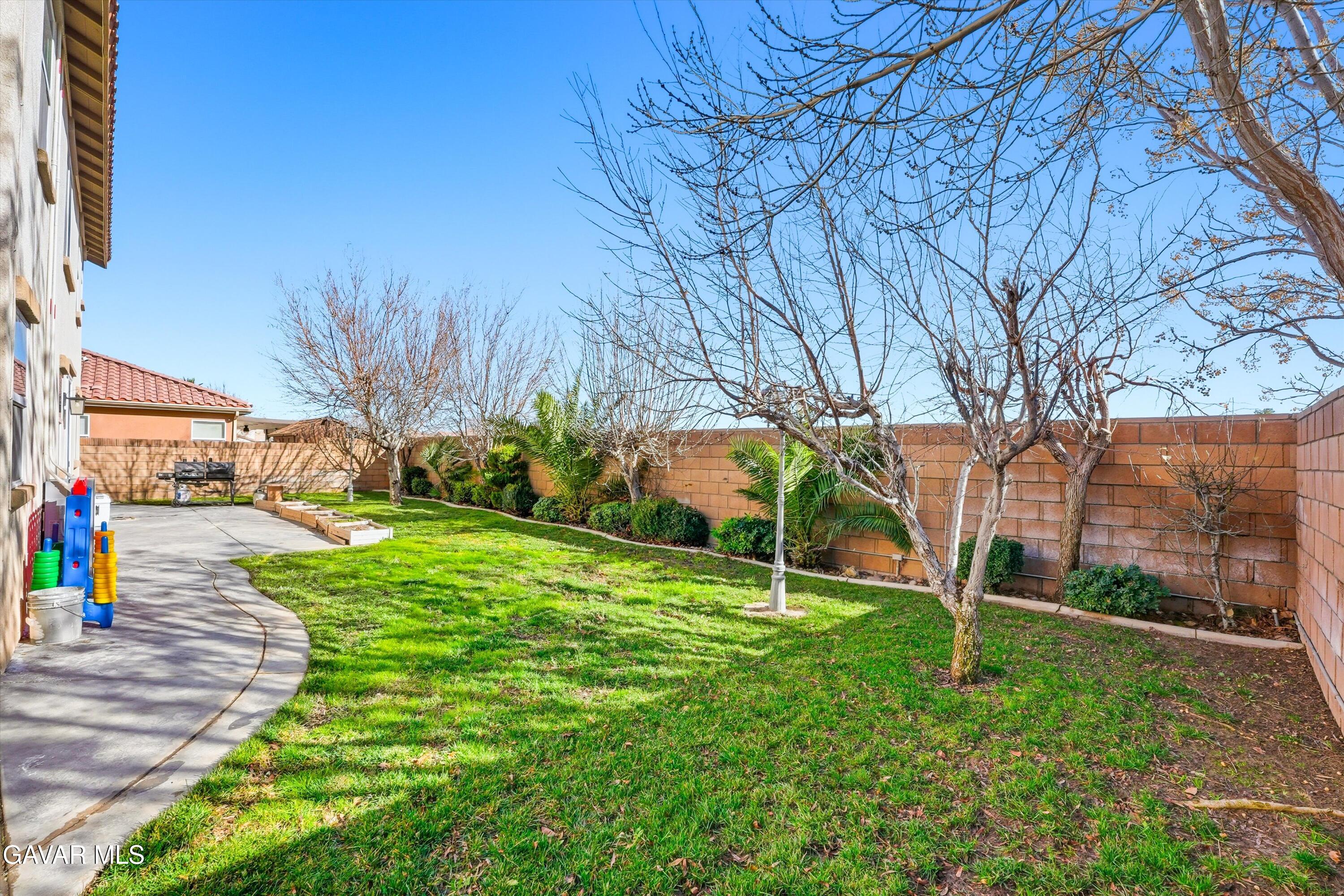 44232 Begonia Street Lancaster, CA 93535 - Photo 17 of 39 a backyard of a house with lots of green space