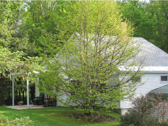 89 Forest Way Rutland Town, VT 05701 - Photo 3 of 24