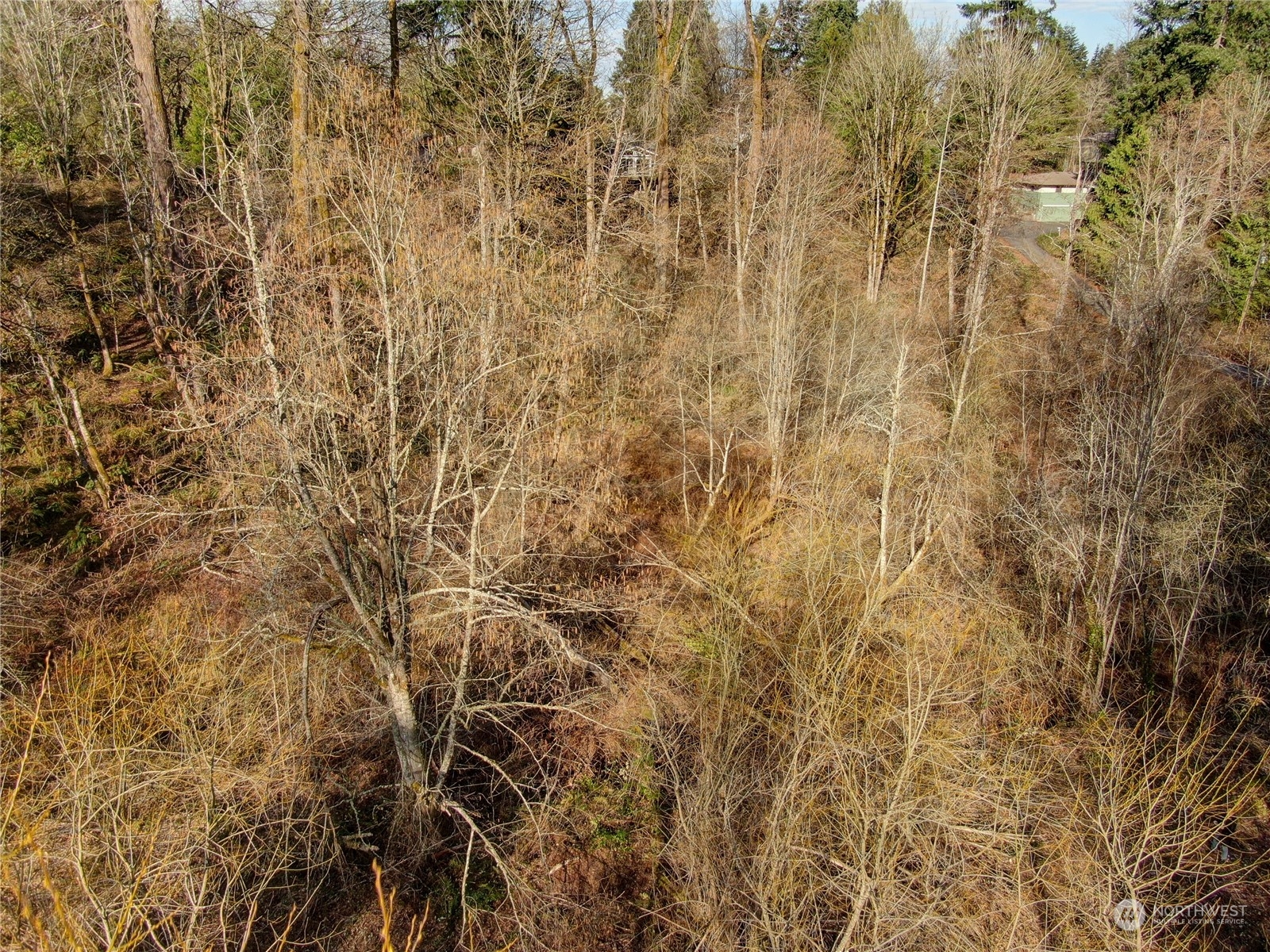 0 180th Avenue Southeast Renton, WA 98059 - Photo 3 of 11