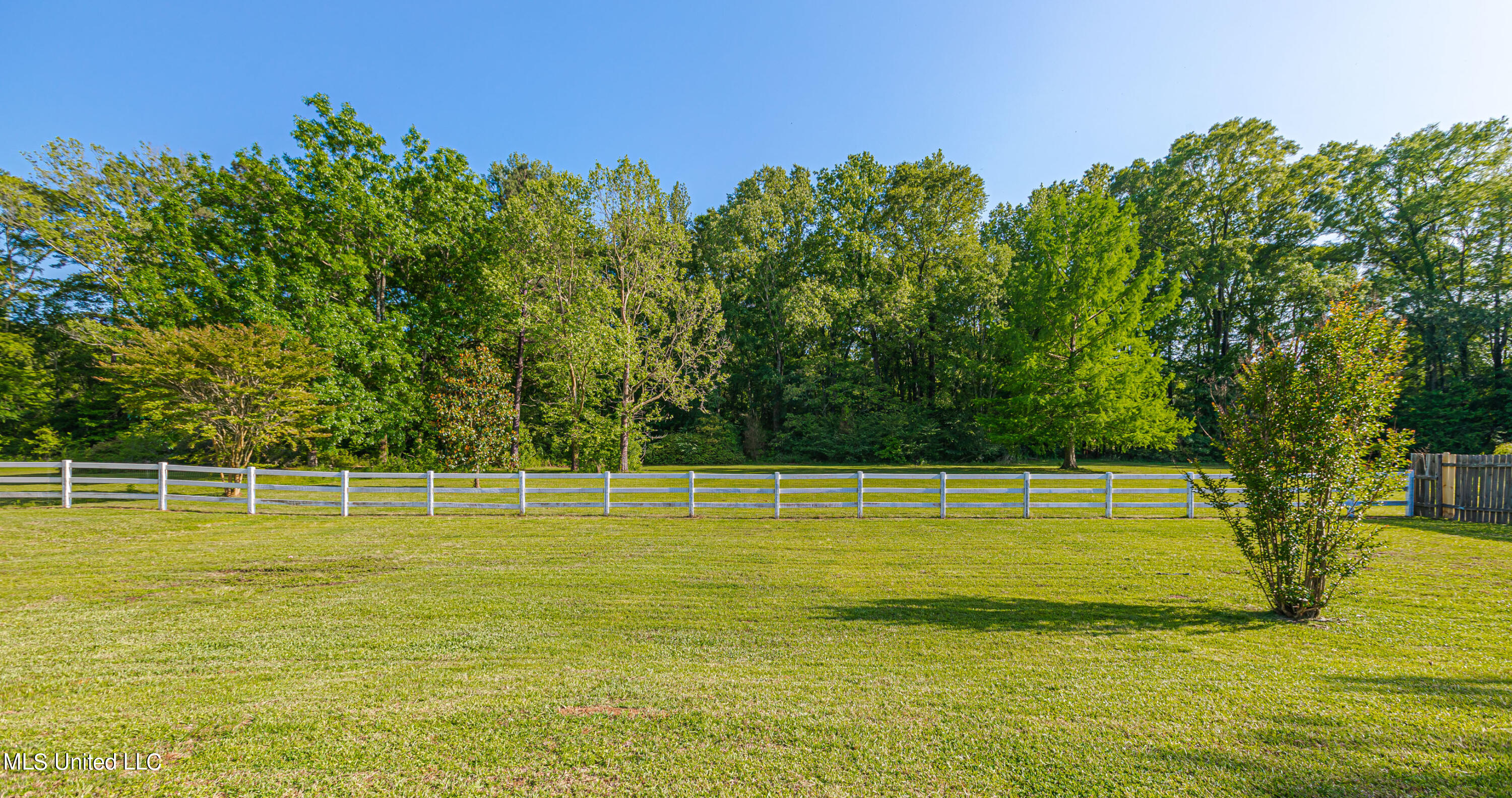 182 McCarty Road Byram, MS 39212 - Photo 19 of 80 926A2970