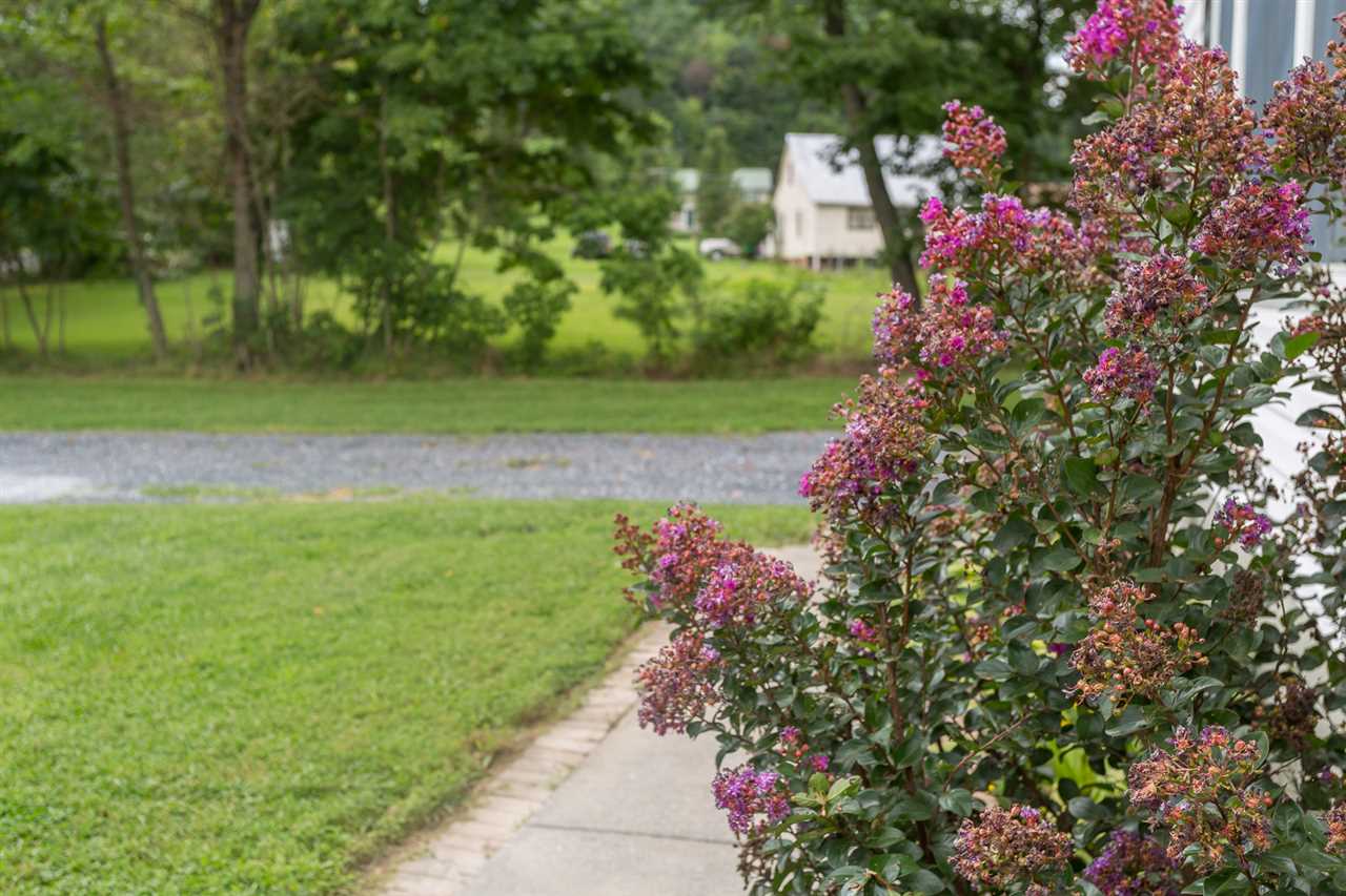 10882 Cook Town Road Bridgewater, VA 22812 - Photo 42 of 47